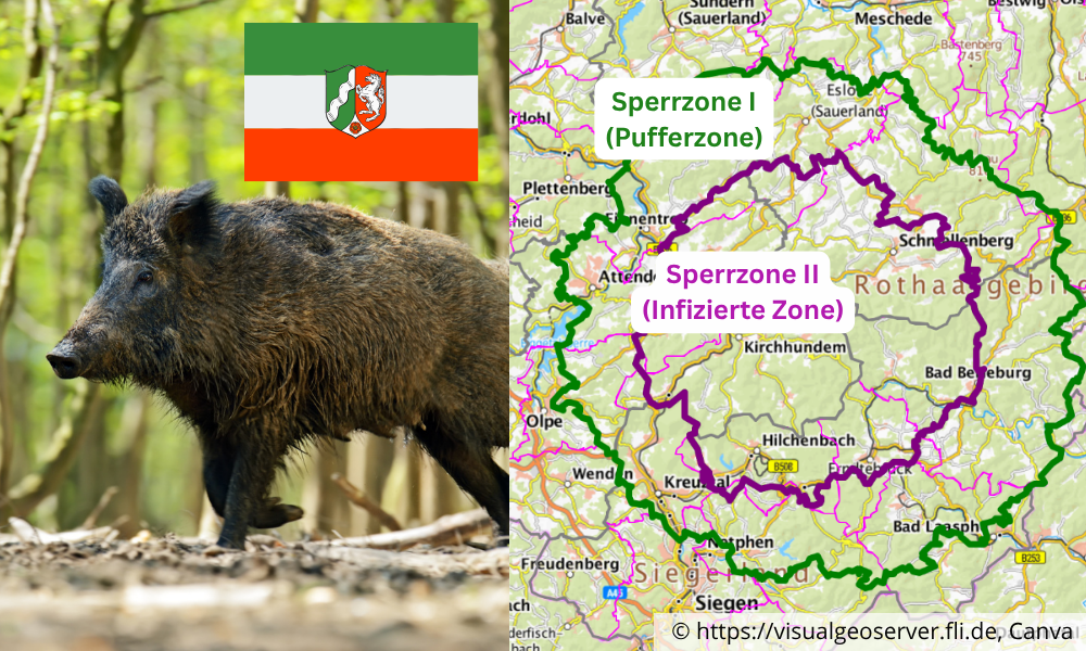 Verstärkte Jagdmaßnahmen am kommenden Freitag