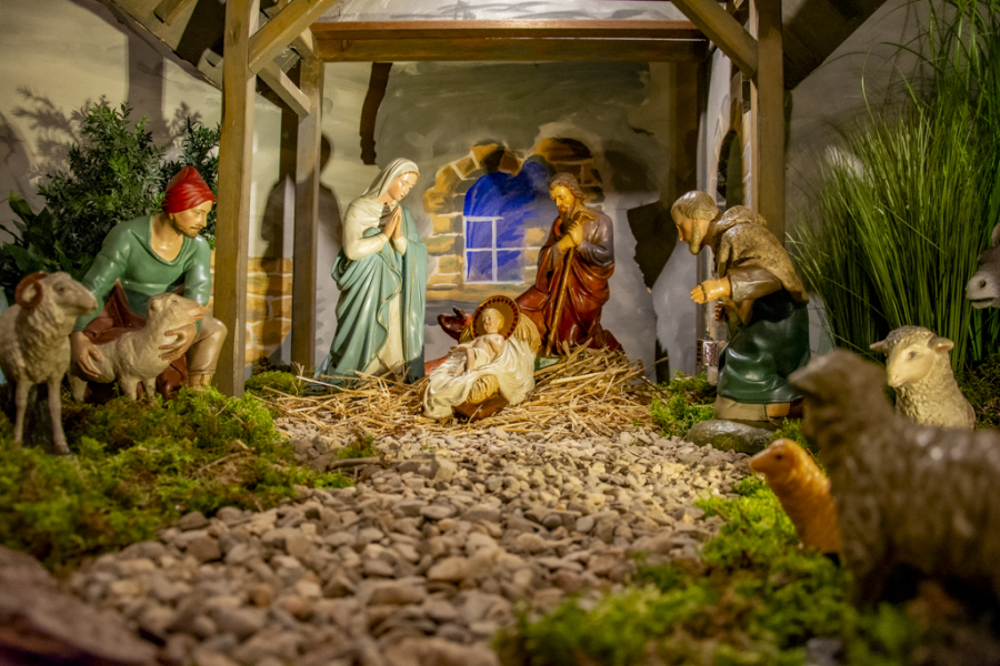 salweykrippe 9 von 13